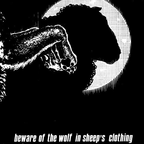 Beware of the Wolf in Sheep's Clothing LP - MAXIMUM ROCKNROLL